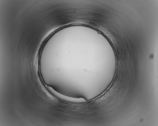 X0000116881127201001121317