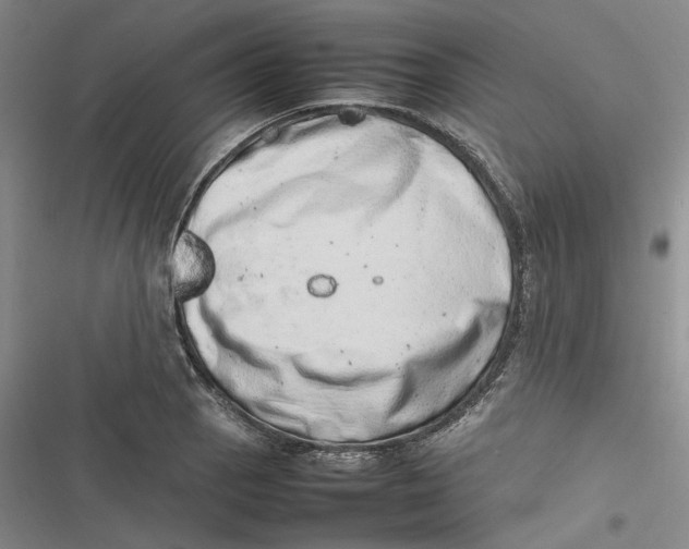 X0000116881129201001121317