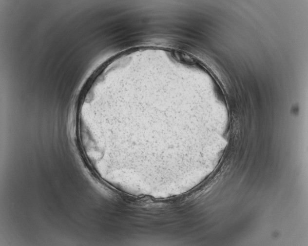 X0000116881131201001121317