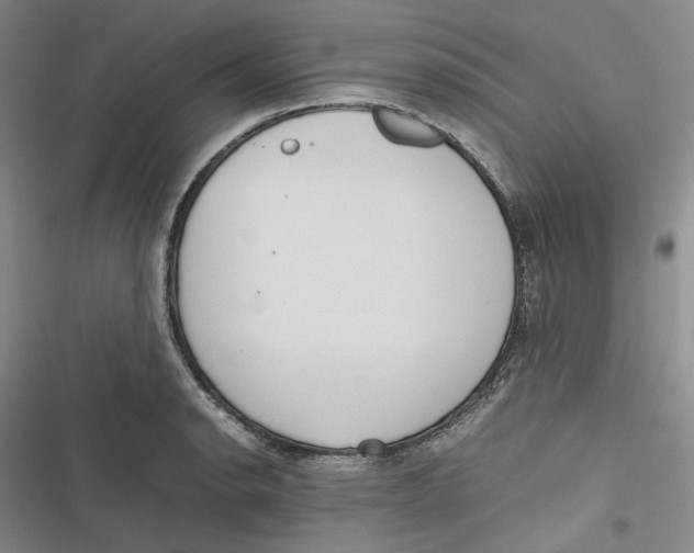 X0000116881134201001121317