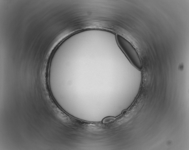 X0000116881138201001121317