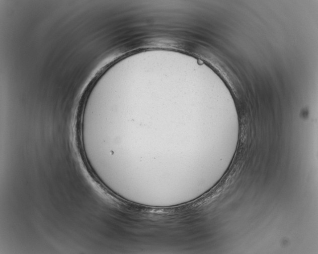 X0000116881139201001121317
