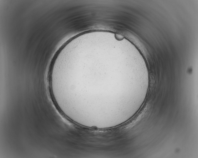 X0000116881141201001121317