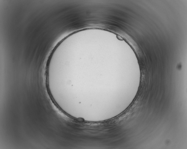 X0000116881143201001121317