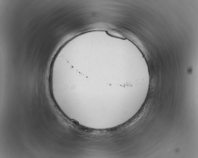 X0000116881146201001121317