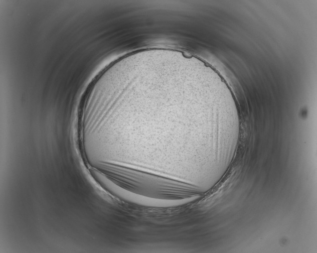 X0000116881147201001121317