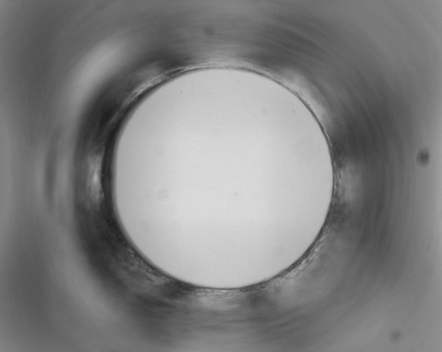 X0000116881150201001121317