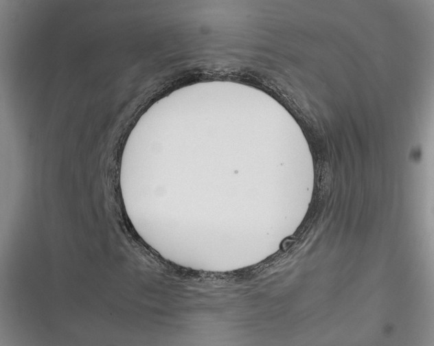 X0000116881153201001121316