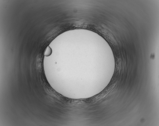 X0000116881154201001121316