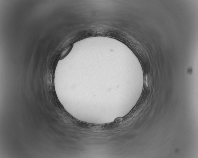 X0000116881155201001121316