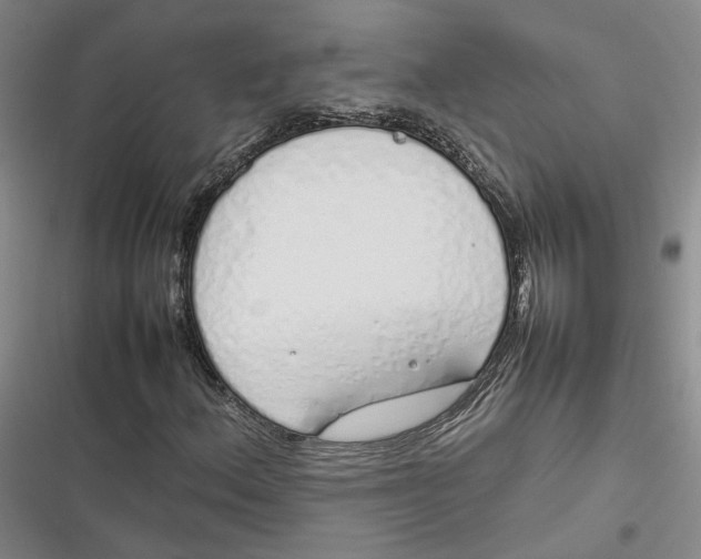 X0000116881156201001121316