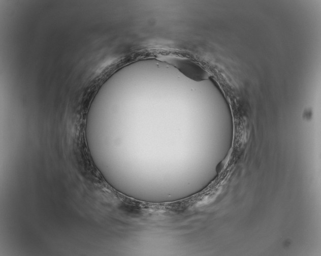 X0000116881157201001121316