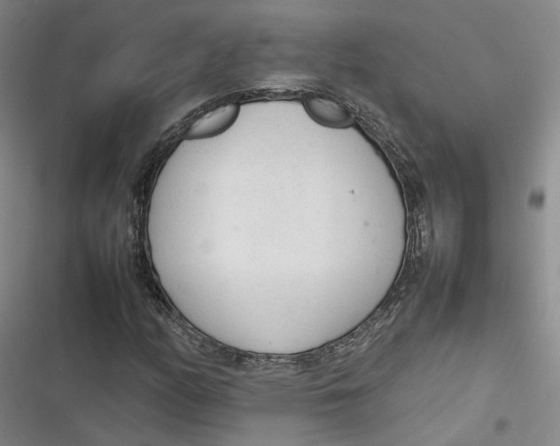 X0000116881158201001121316