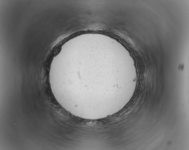X0000116881160201001121316
