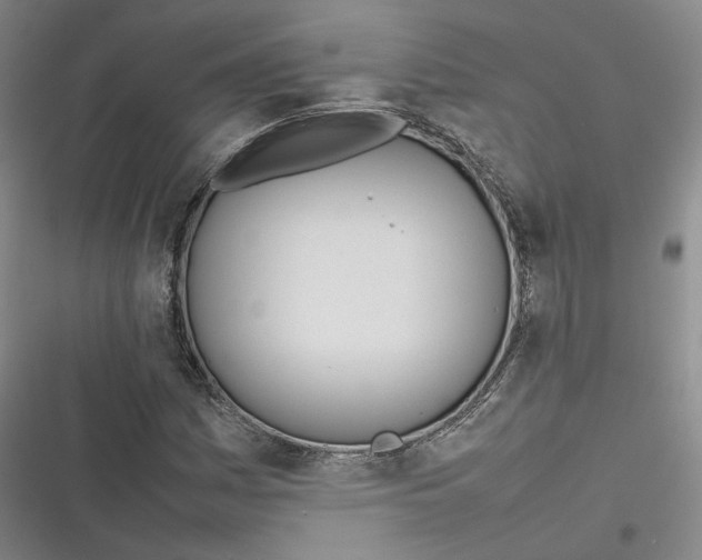 X0000116881161201001121316