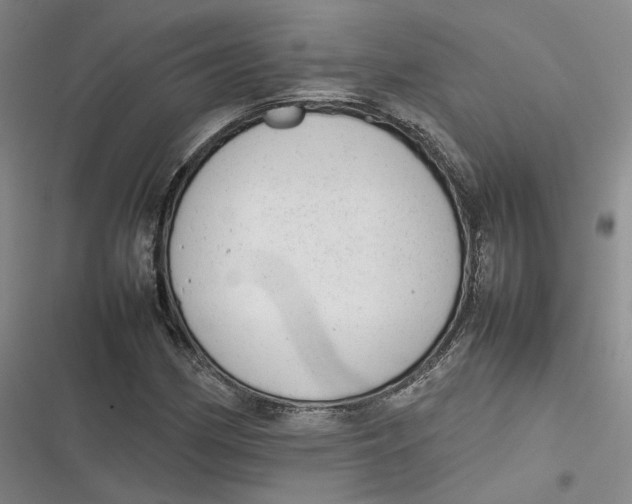 X0000116881162201001121316