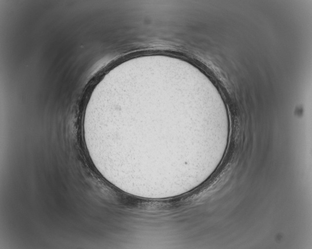 X0000116881163201001121316