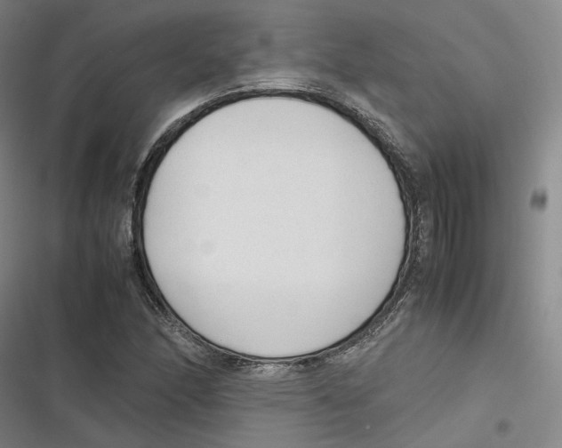 X0000116881166201001121316