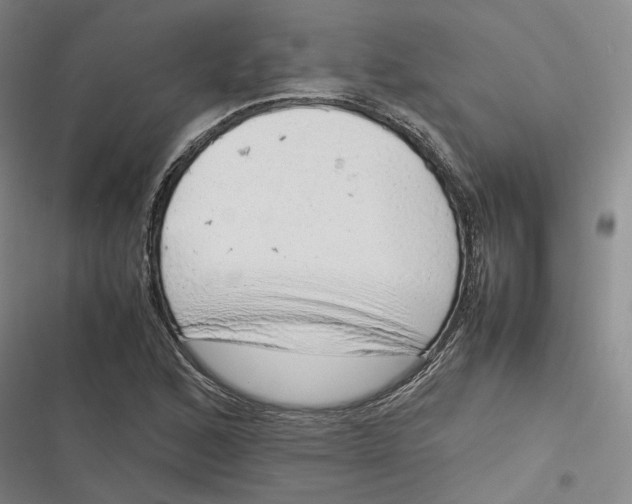 X0000116881168201001121316