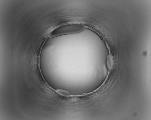 X0000116881169201001121316