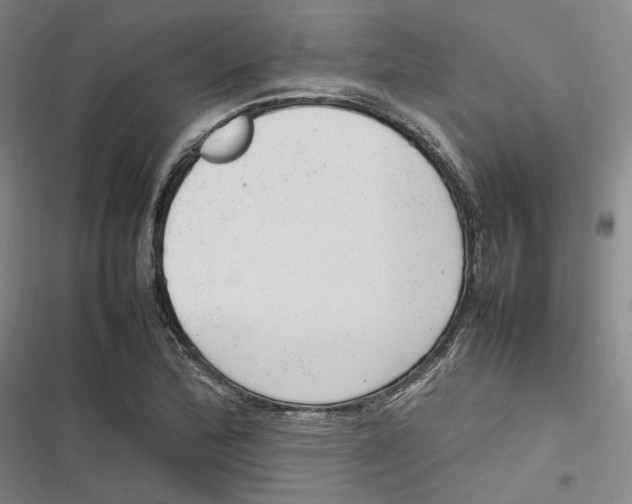 X0000116881172201001121316