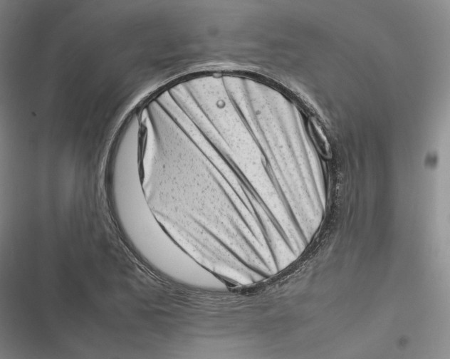 X0000116881173201001121316