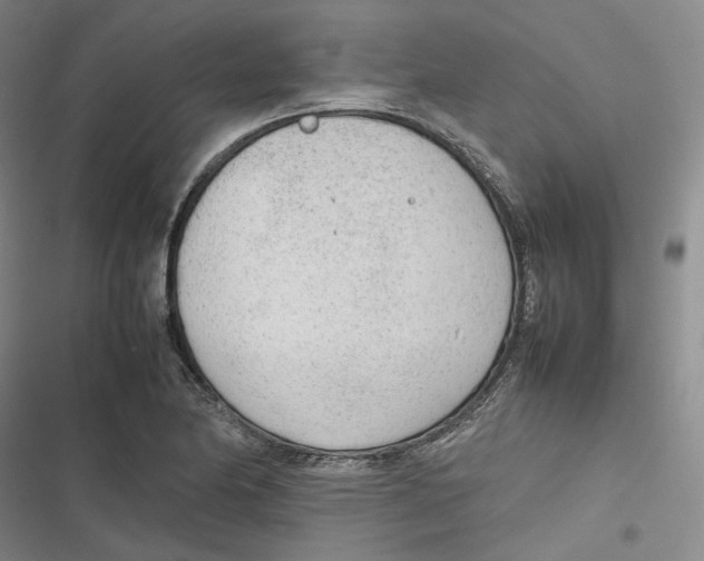 X0000116881174201001121316