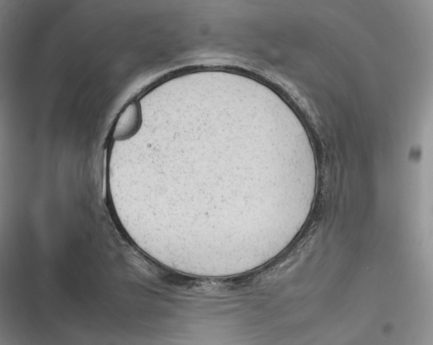 X0000116881175201001121316