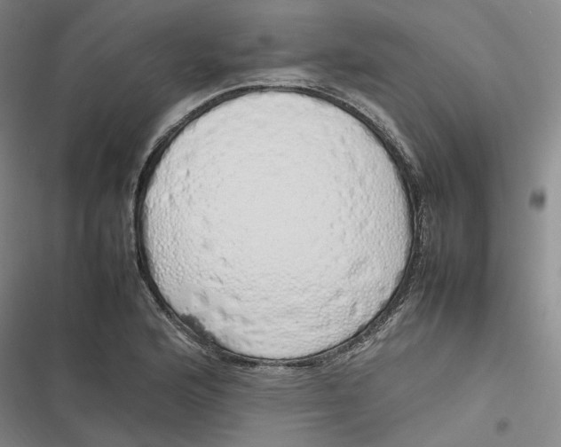 X0000116881176201001121316