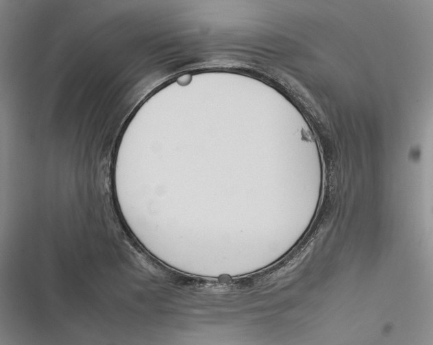 X0000116881177201001121316