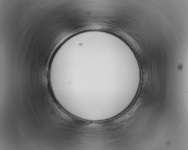 X0000116881178201001121316