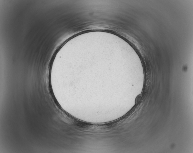 X0000116881179201001121316