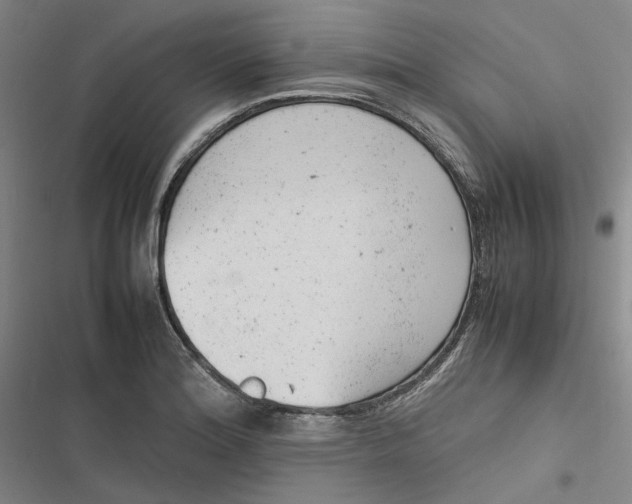 X0000116881180201001121316