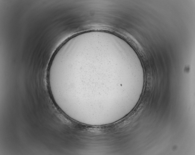 X0000116881182201001121316