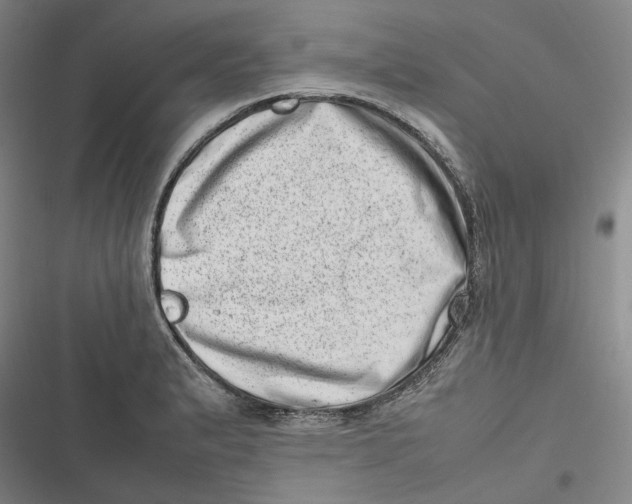 X0000116881183201001121316
