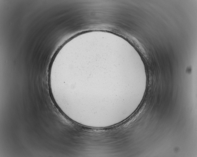 X0000116881184201001121316