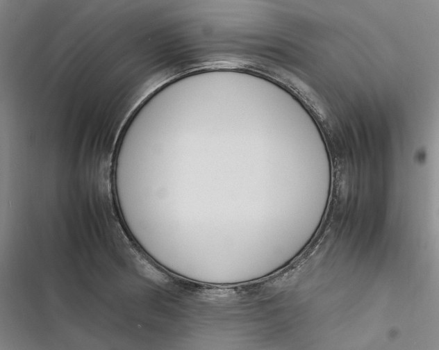 X0000116881186201001121316