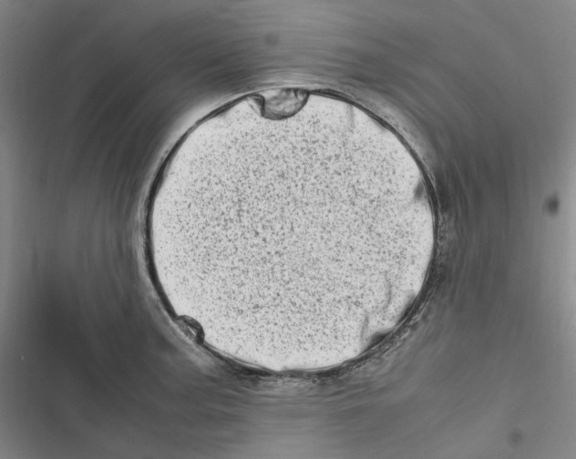 X0000116881187201001121316
