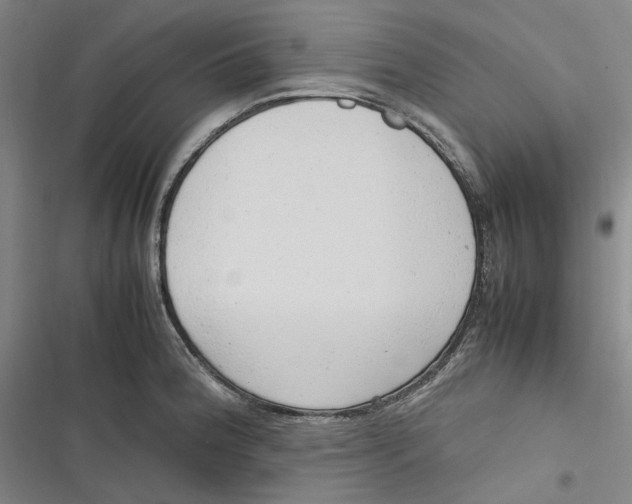 X0000116881188201001121316