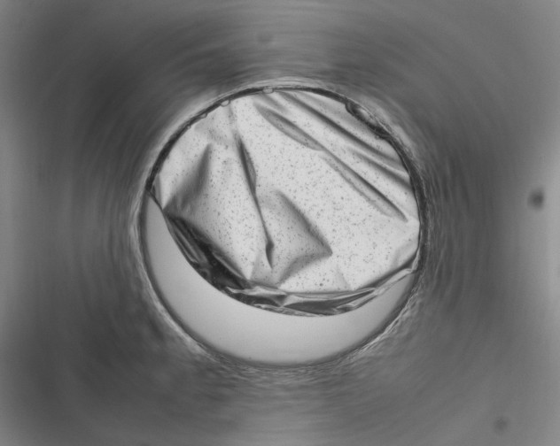X0000116881189201001121316