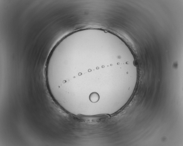 X0000116881190201001121316