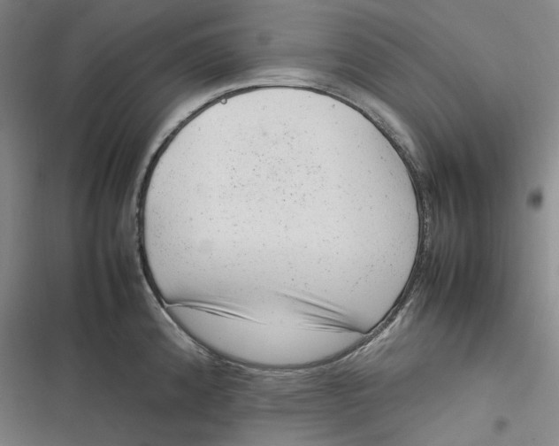 X0000116881192201001121316