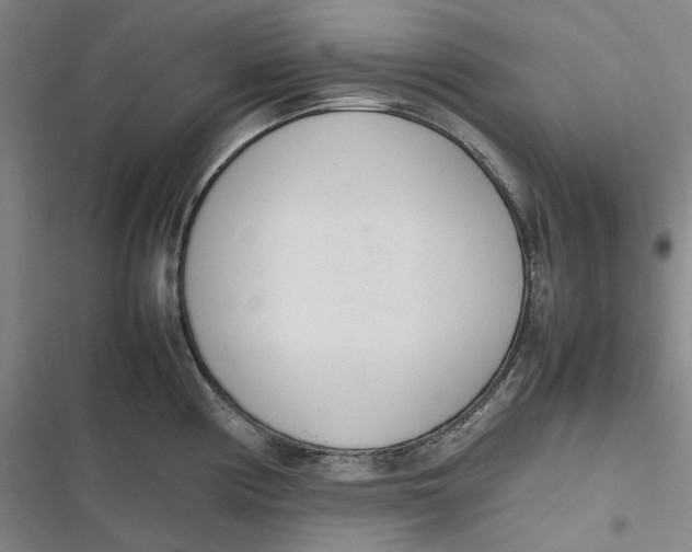 X0000116881194201001121316