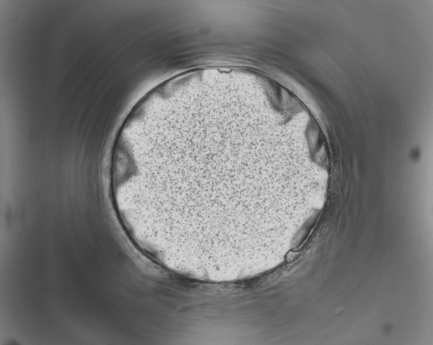 X0000116881195201001121316