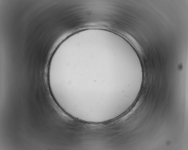 X0000116881196201001121316