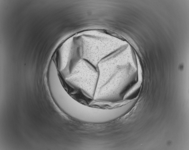 X0000116881197201001121316