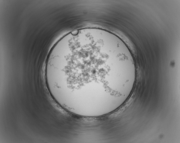 X0000116881198201001121316