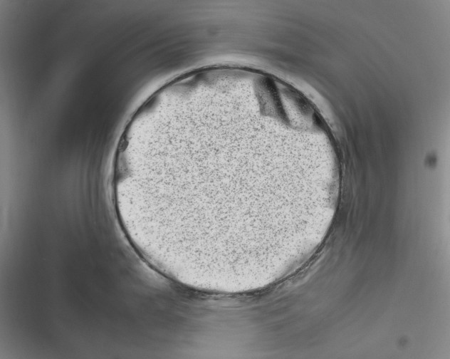 X0000116881199201001121316