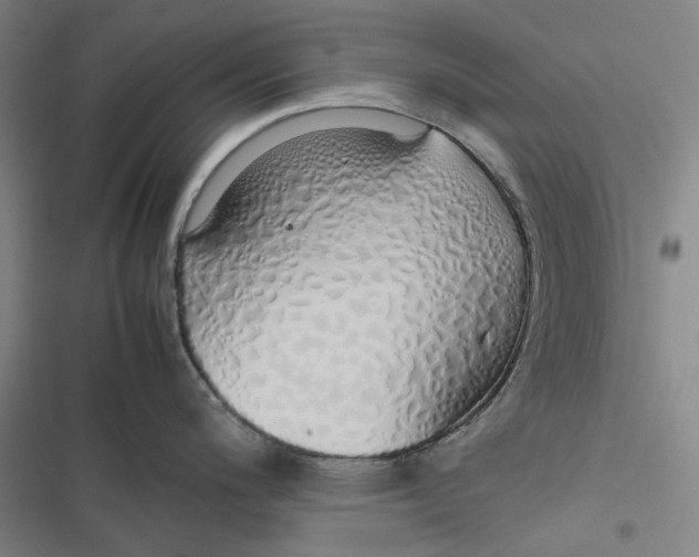 X0000116881200201001121316