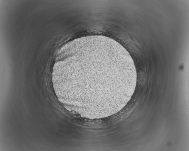 X0000116881201201001121315